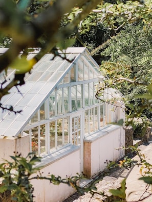 A greenhouse with large glass windows and white frames is surrounded by lush green foliage. The light filters through the glass, illuminating the plants inside. The scene is framed by leaves and branches, adding to the natural ambiance.