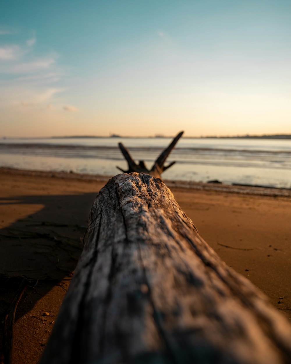 brown wooden log on beach during daytime