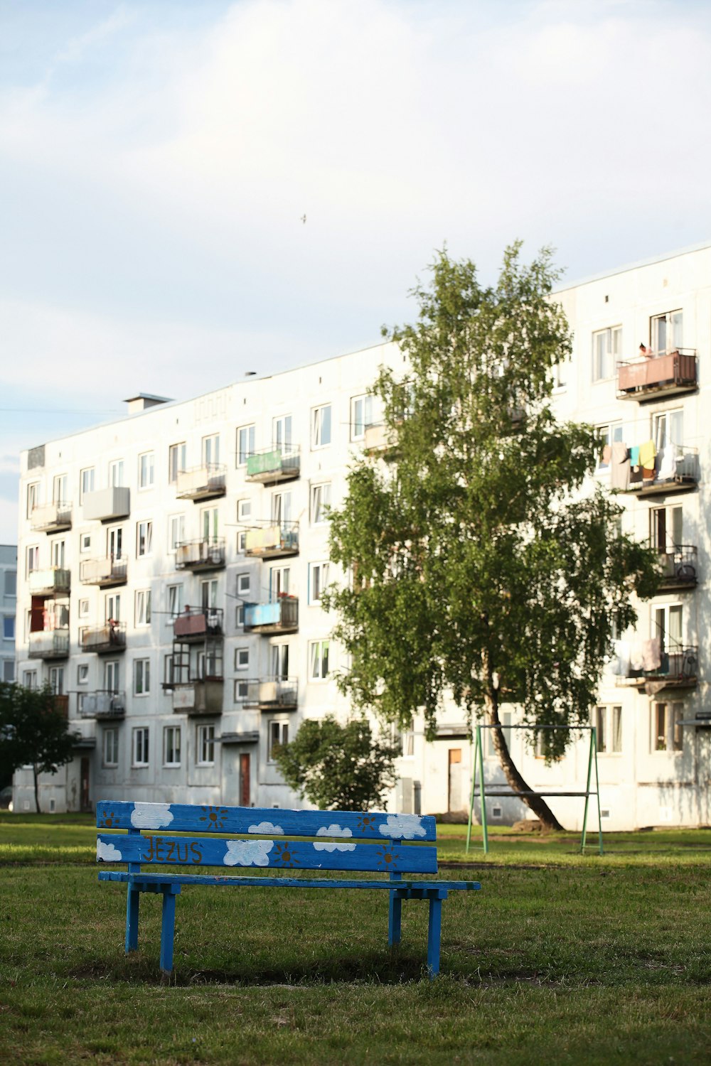 green tree in front of white concrete building