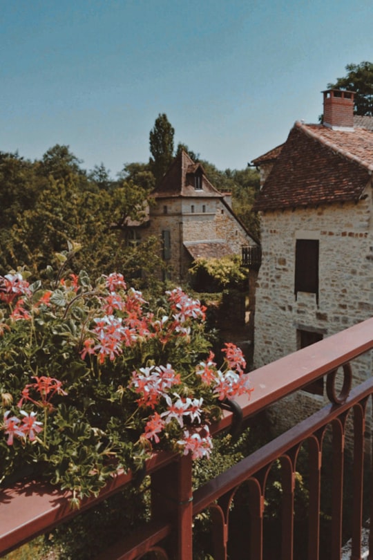 red and white flowers on brown wooden fence in Carennac France