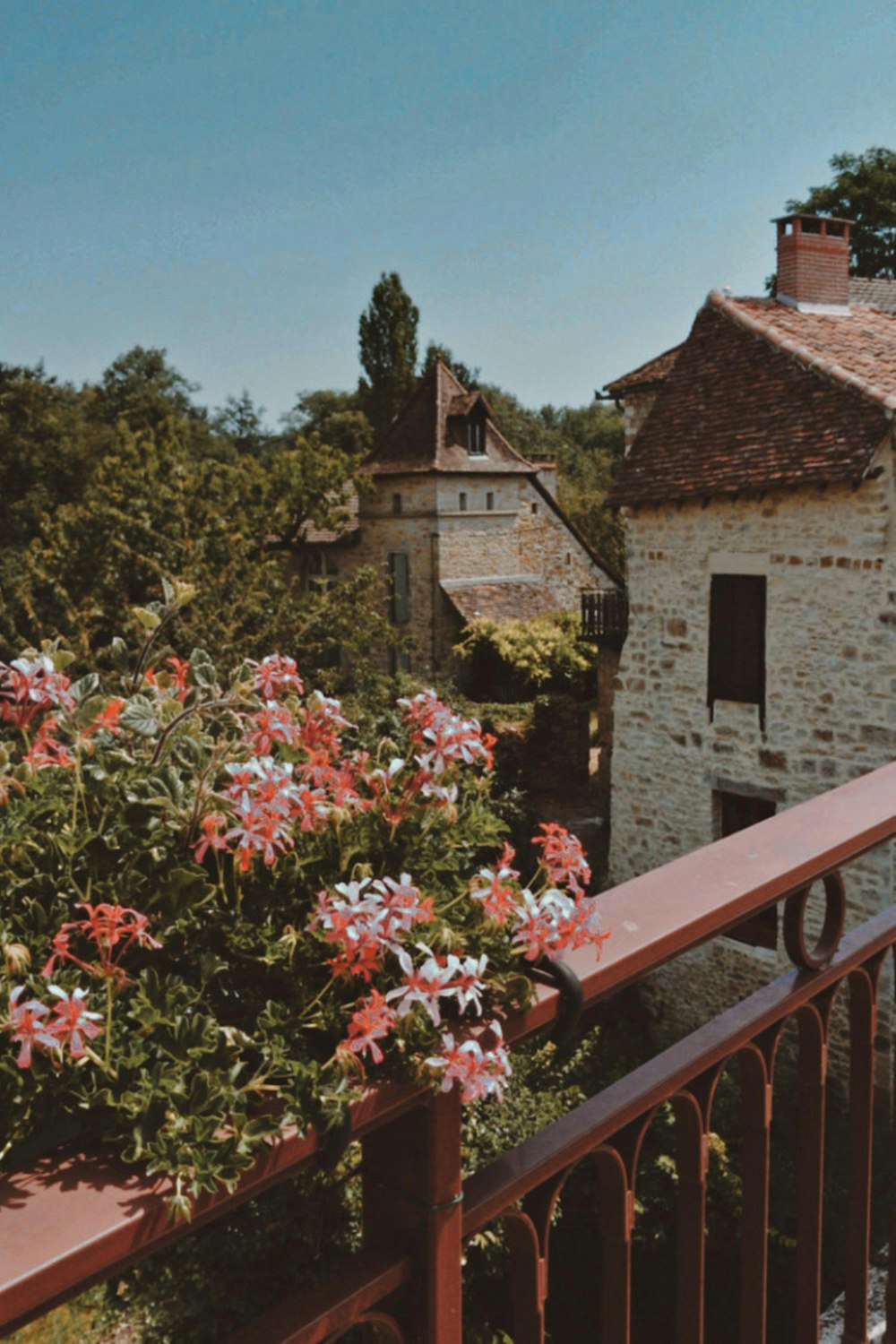 red and white flowers on brown wooden fence