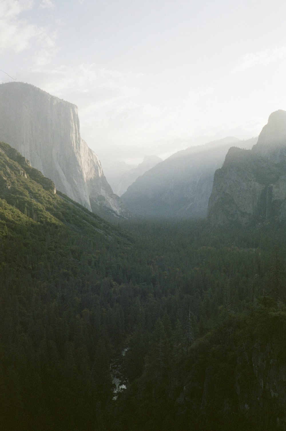 green trees on mountain during daytime