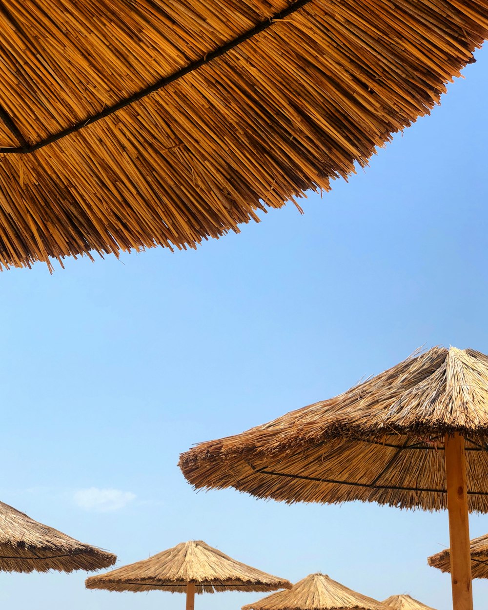 brown nipa hut under blue sky during daytime