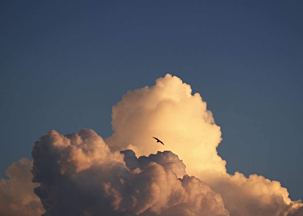 white clouds and blue sky during daytime