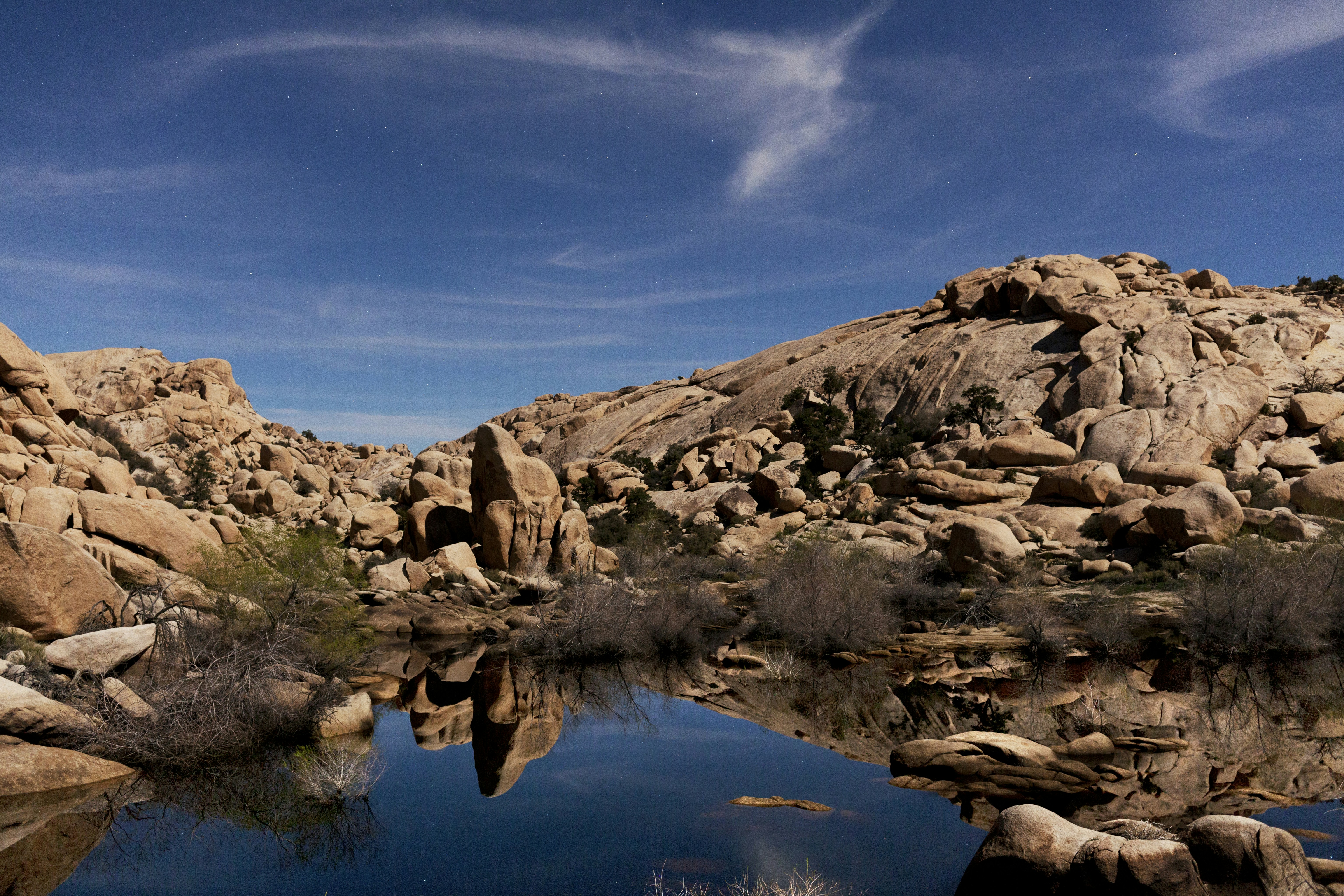 Understanding Joshua Tree's Climate