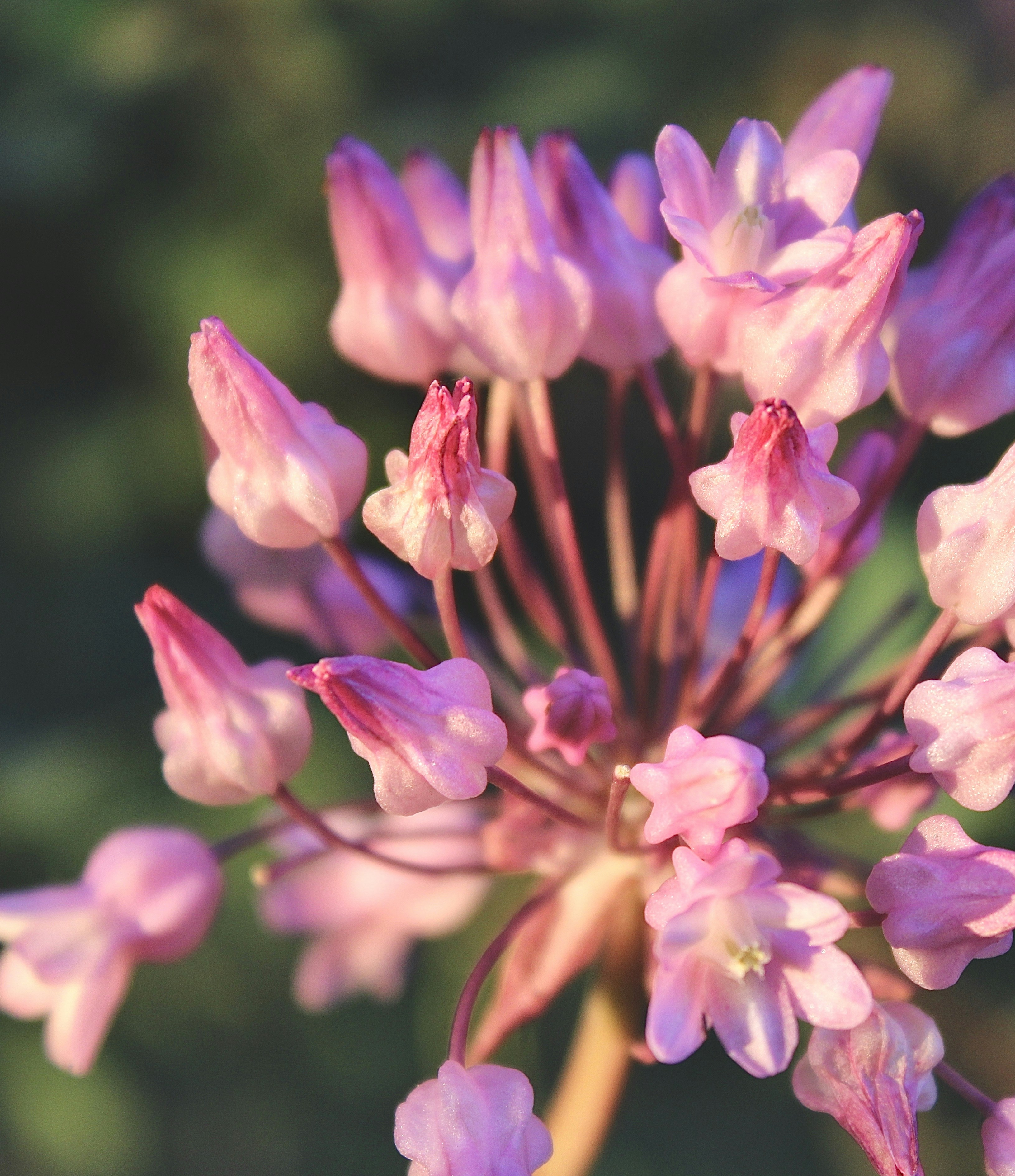 Photo by gracieemory