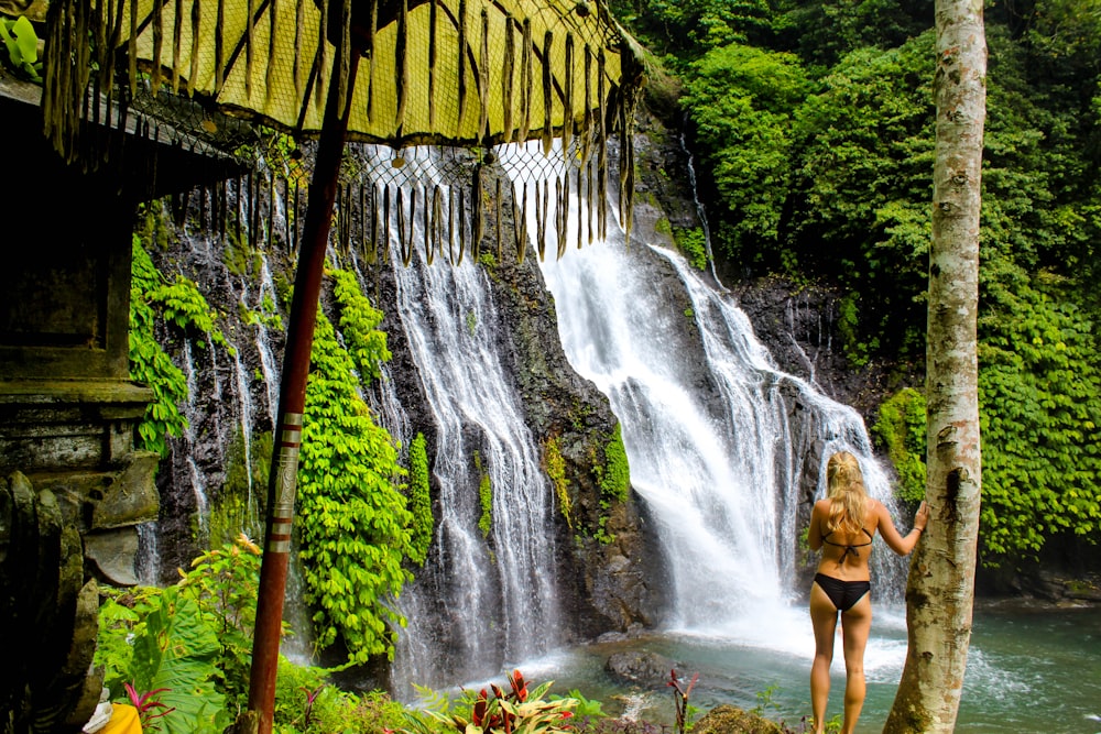 woman in brown bikini standing on brown wooden bridge near waterfalls during daytime