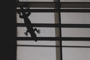 A silhouette of a gecko on a mesh screen, with light filtering through, creating a pattern of horizontal and vertical lines.