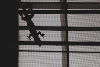 A silhouette of a gecko on a mesh screen, with light filtering through, creating a pattern of horizontal and vertical lines.