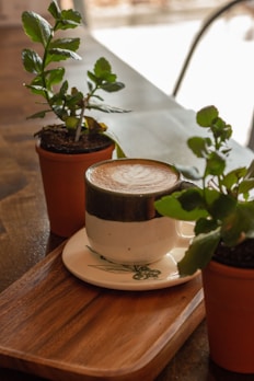 Close-up of a round side table set with a leather decorative tray holding a cup of coffee and a small plant.