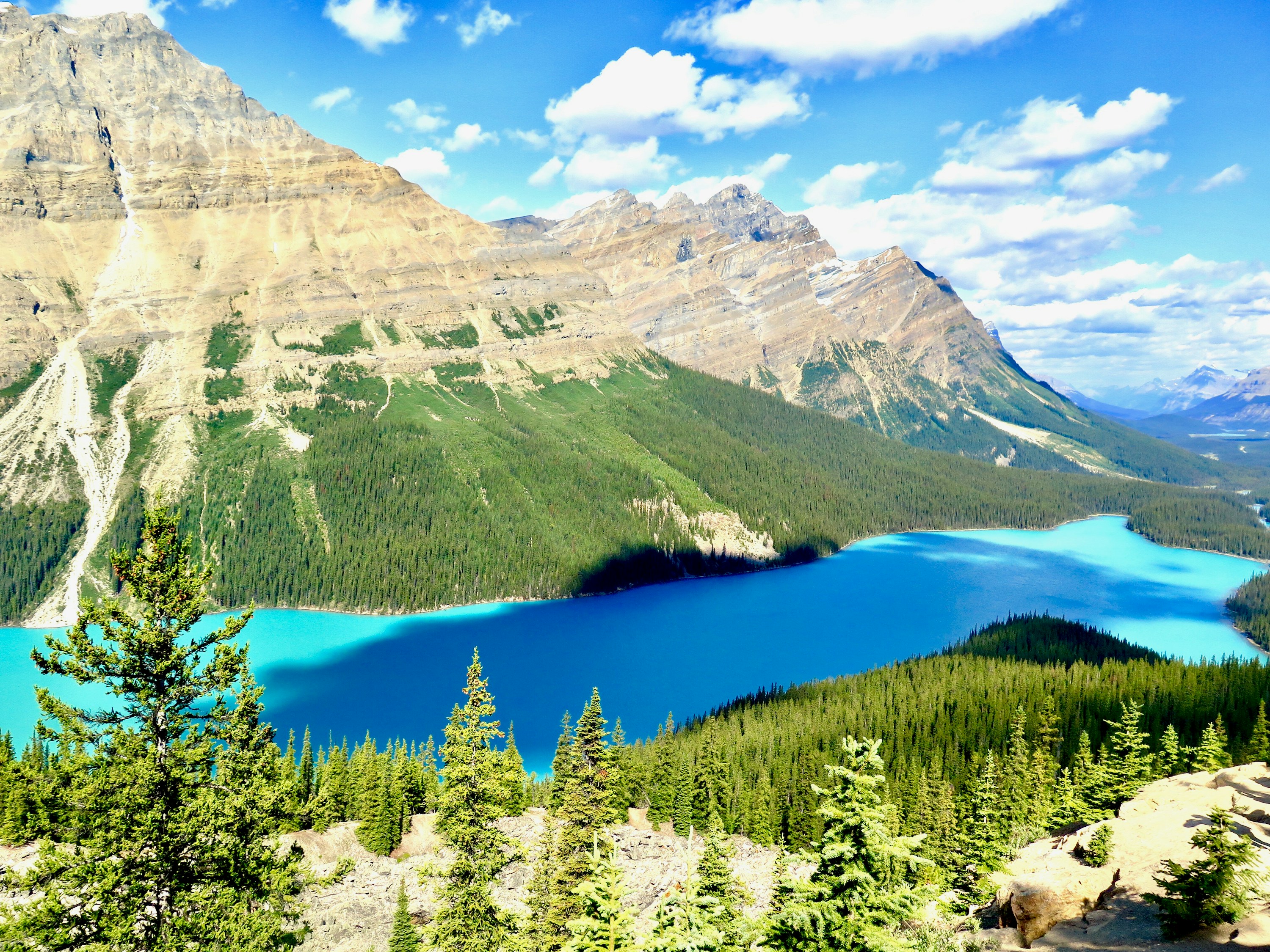 green pine trees near lake and mountain under blue sky during daytime