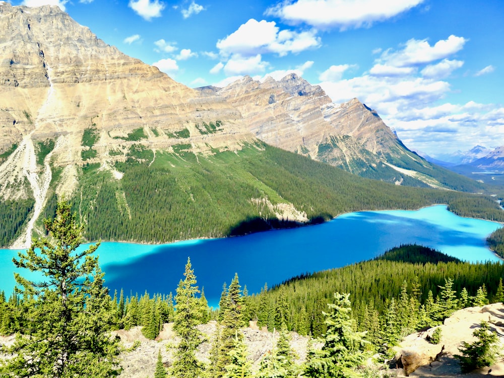 green pine trees near lake and mountain under blue sky during daytime