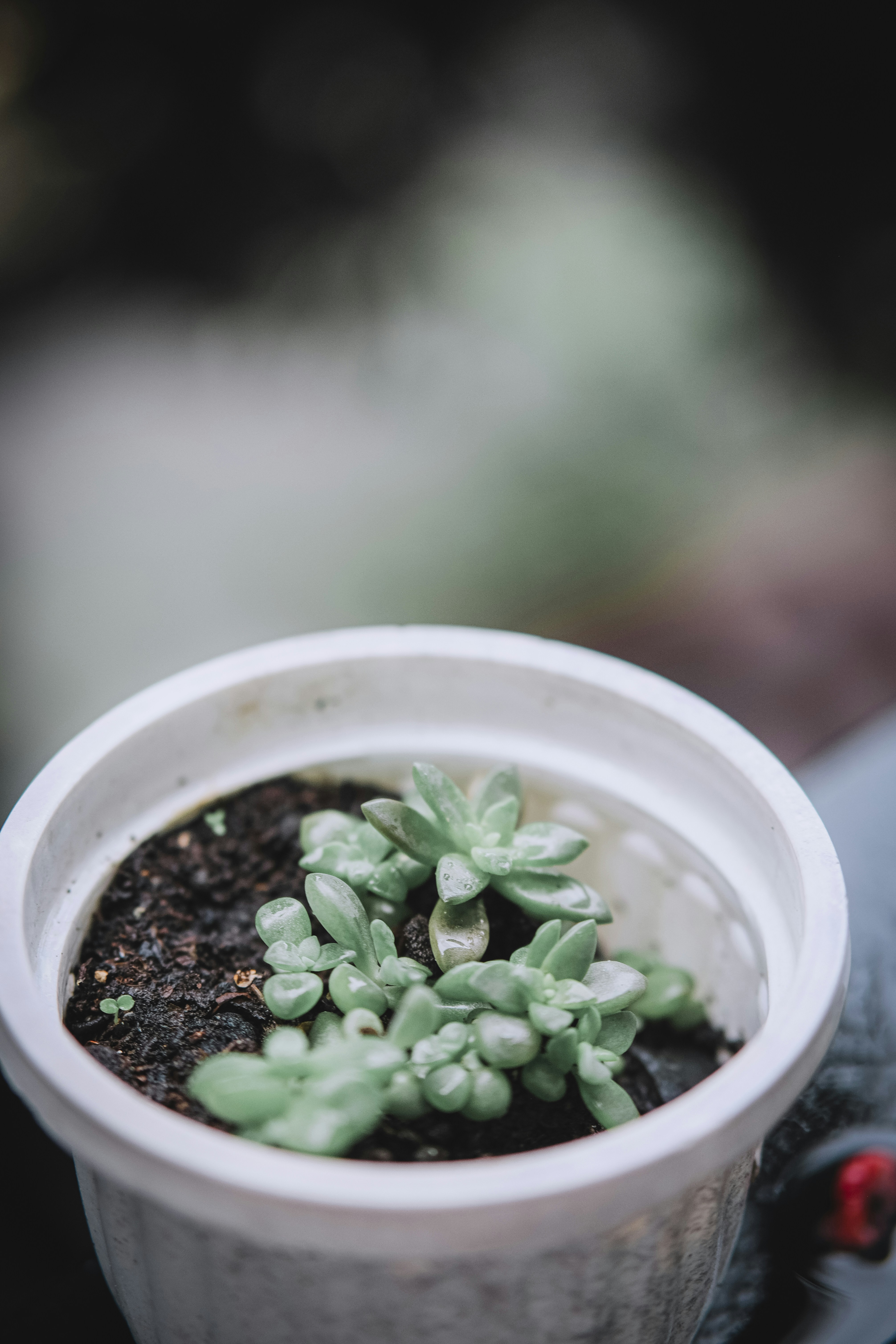 Photo by renichinguyen