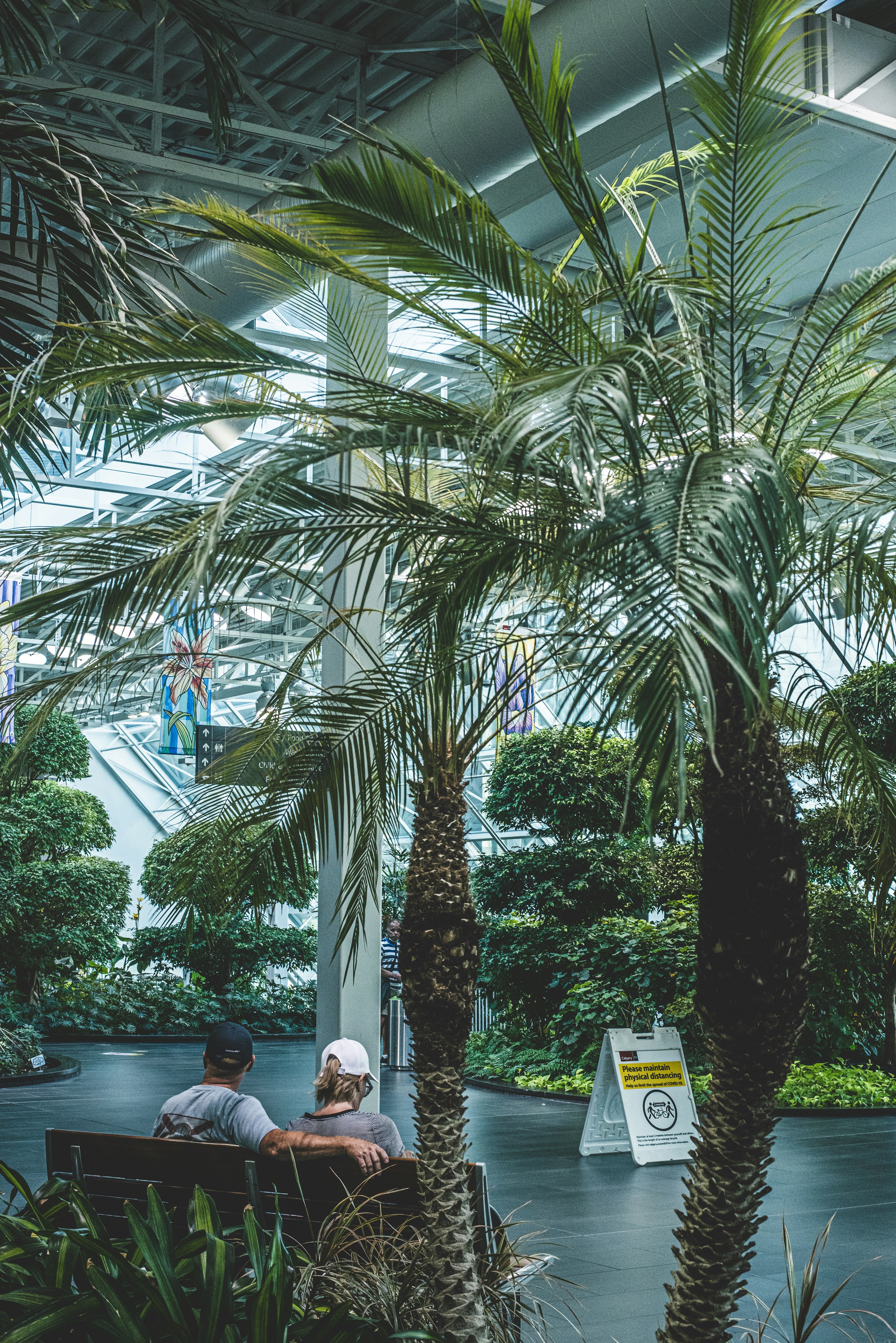 people sitting on bench near palm trees during daytime