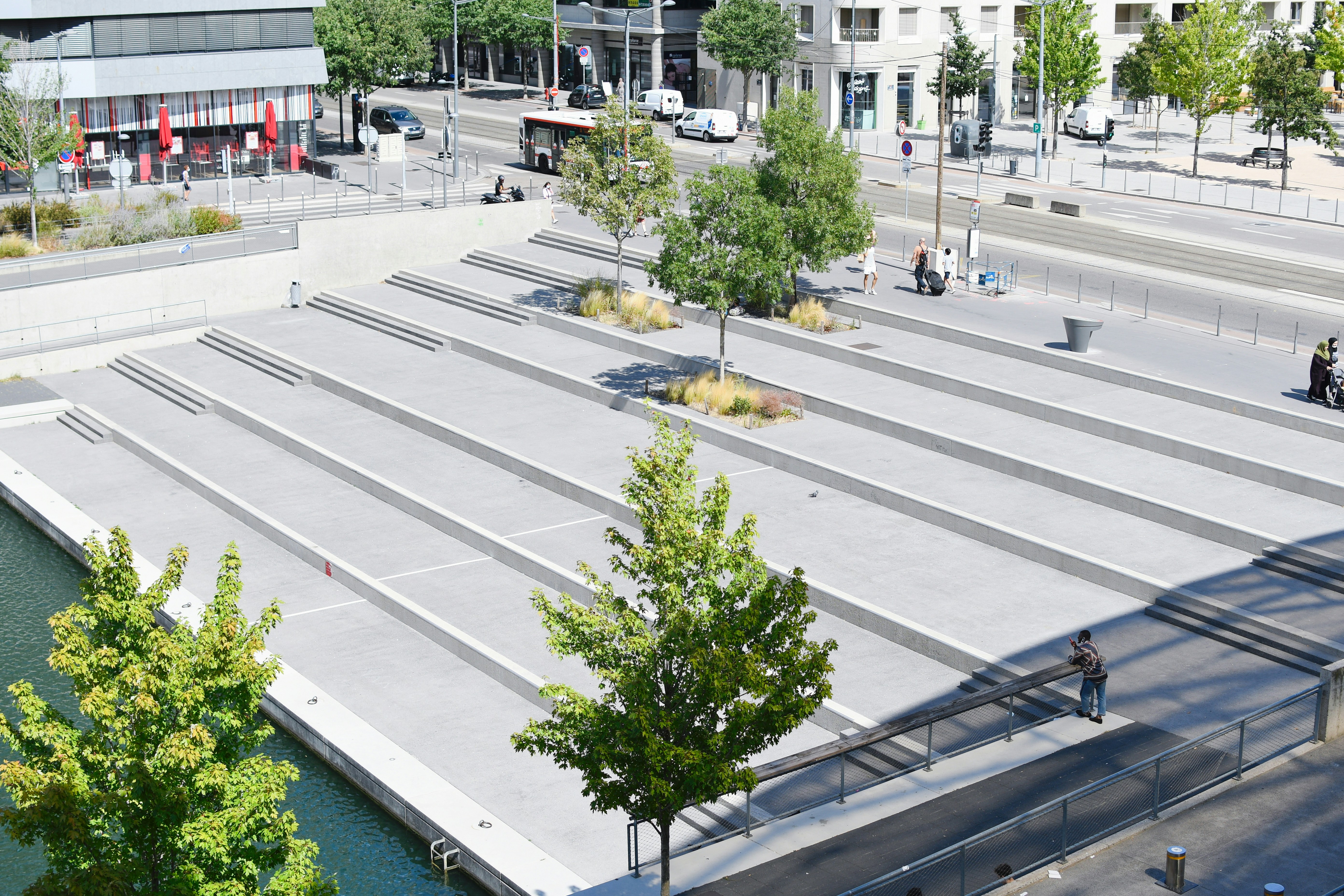 green trees on gray concrete floor