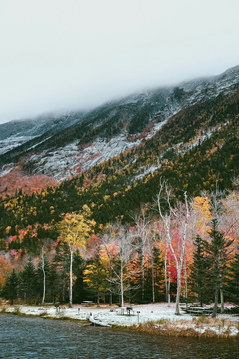 yellow and red trees near mountain during daytime