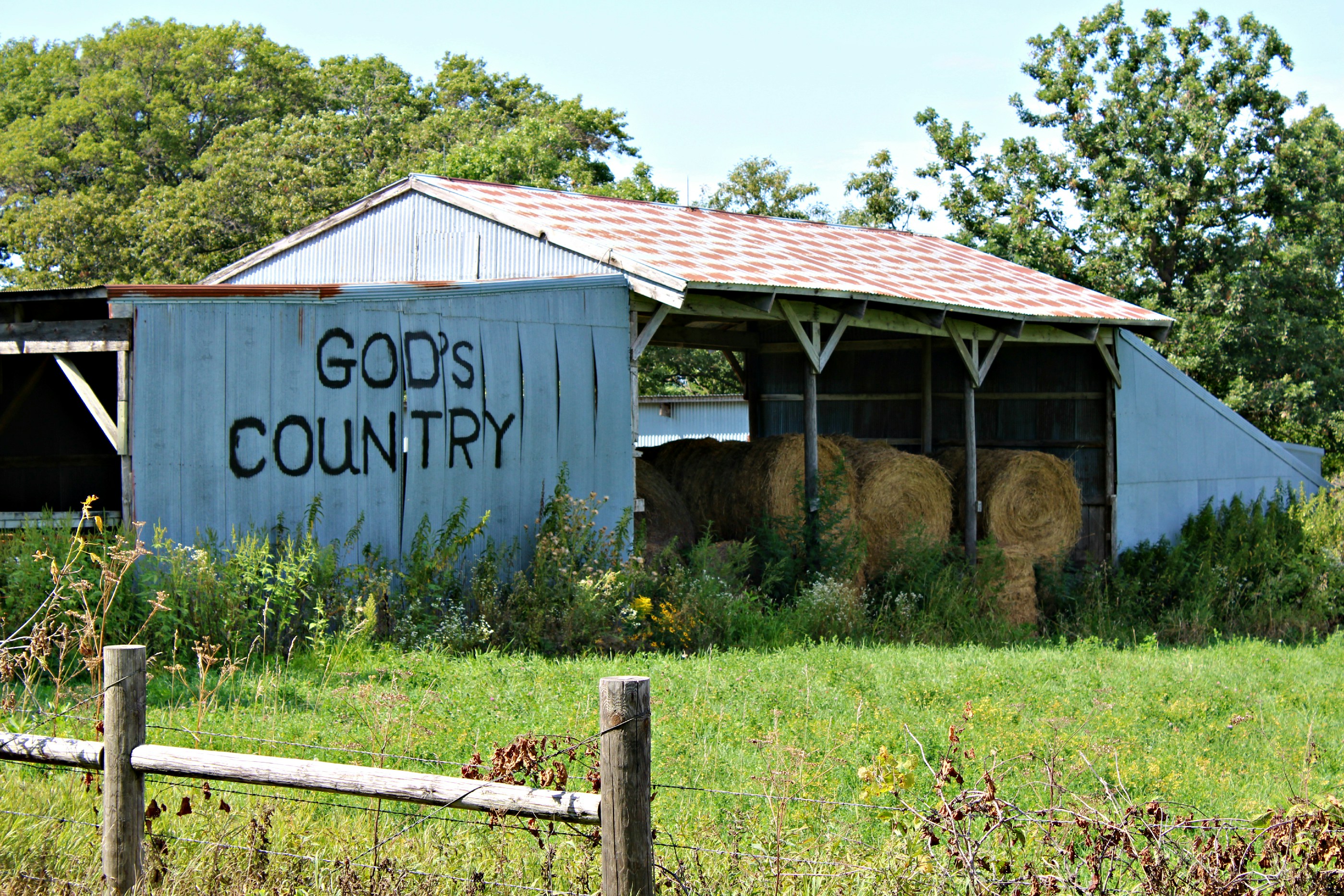 blue wooden house near green grass field during daytime