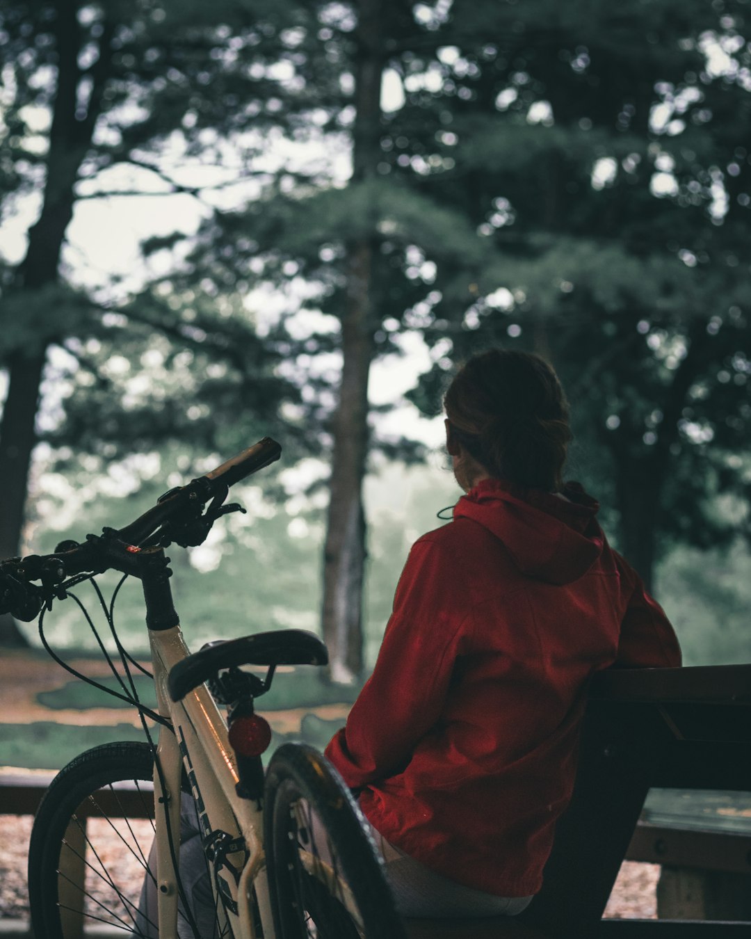 man in red hoodie riding bicycle