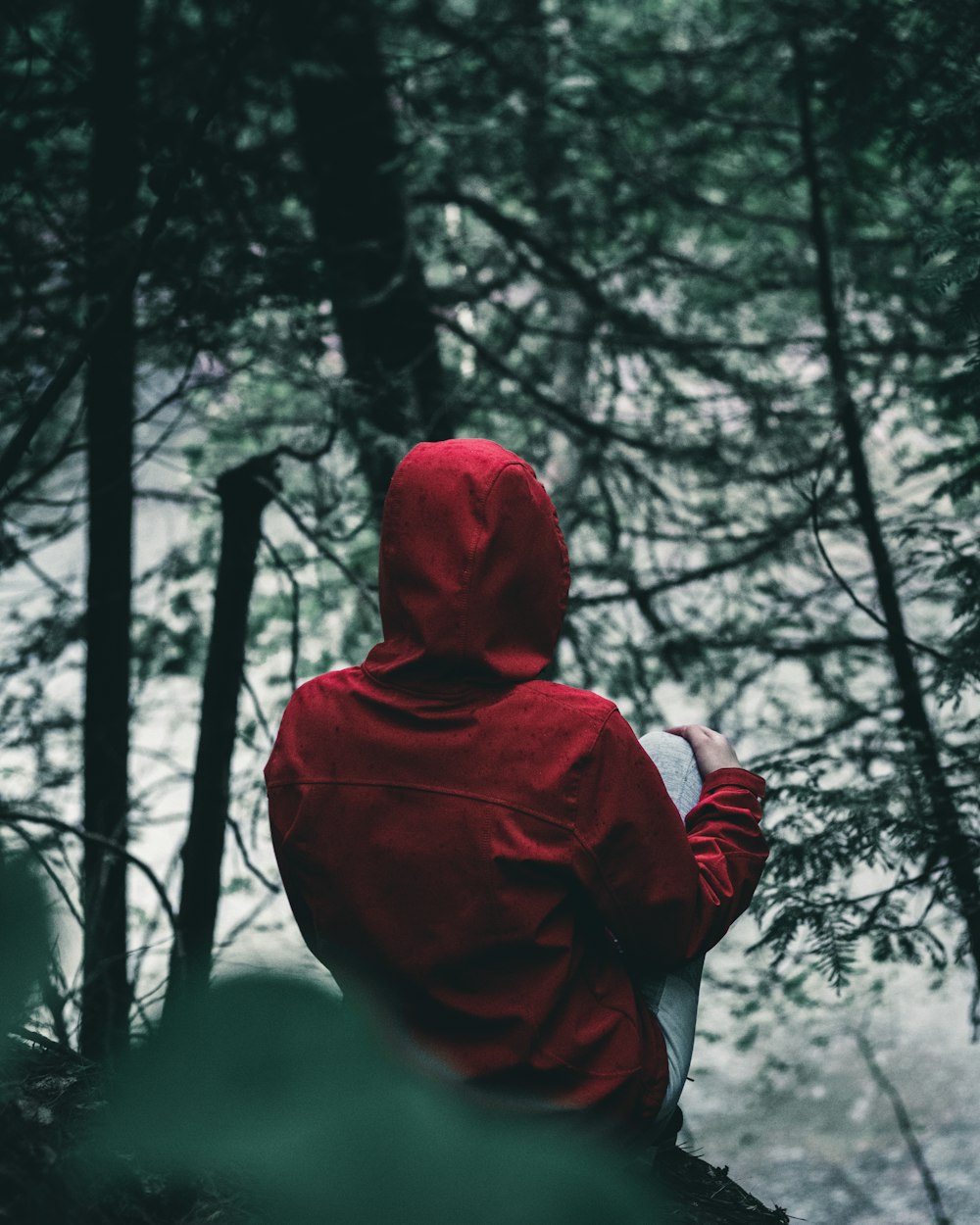 a person in a red jacket standing in the woods