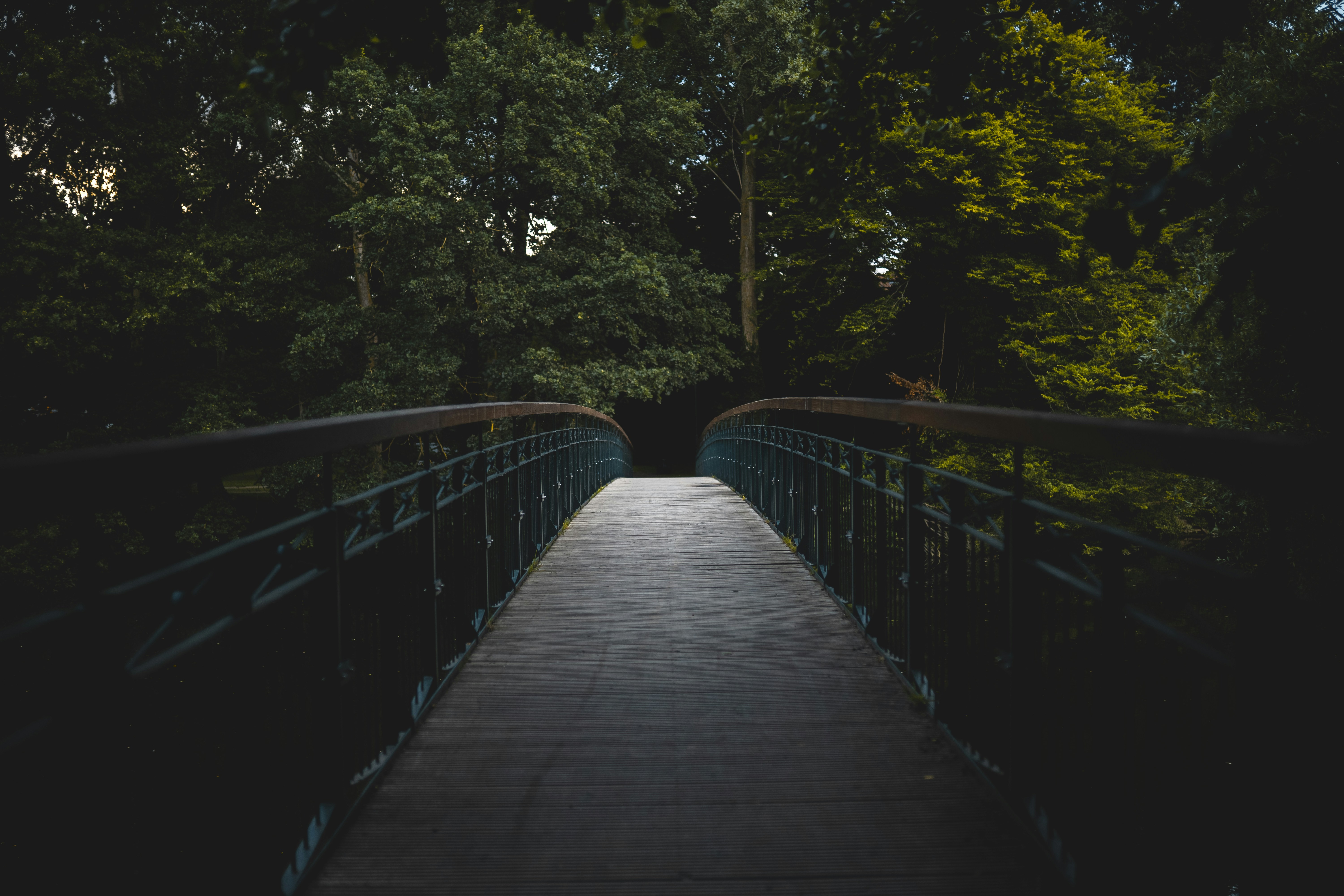 Photo by jakobustrop