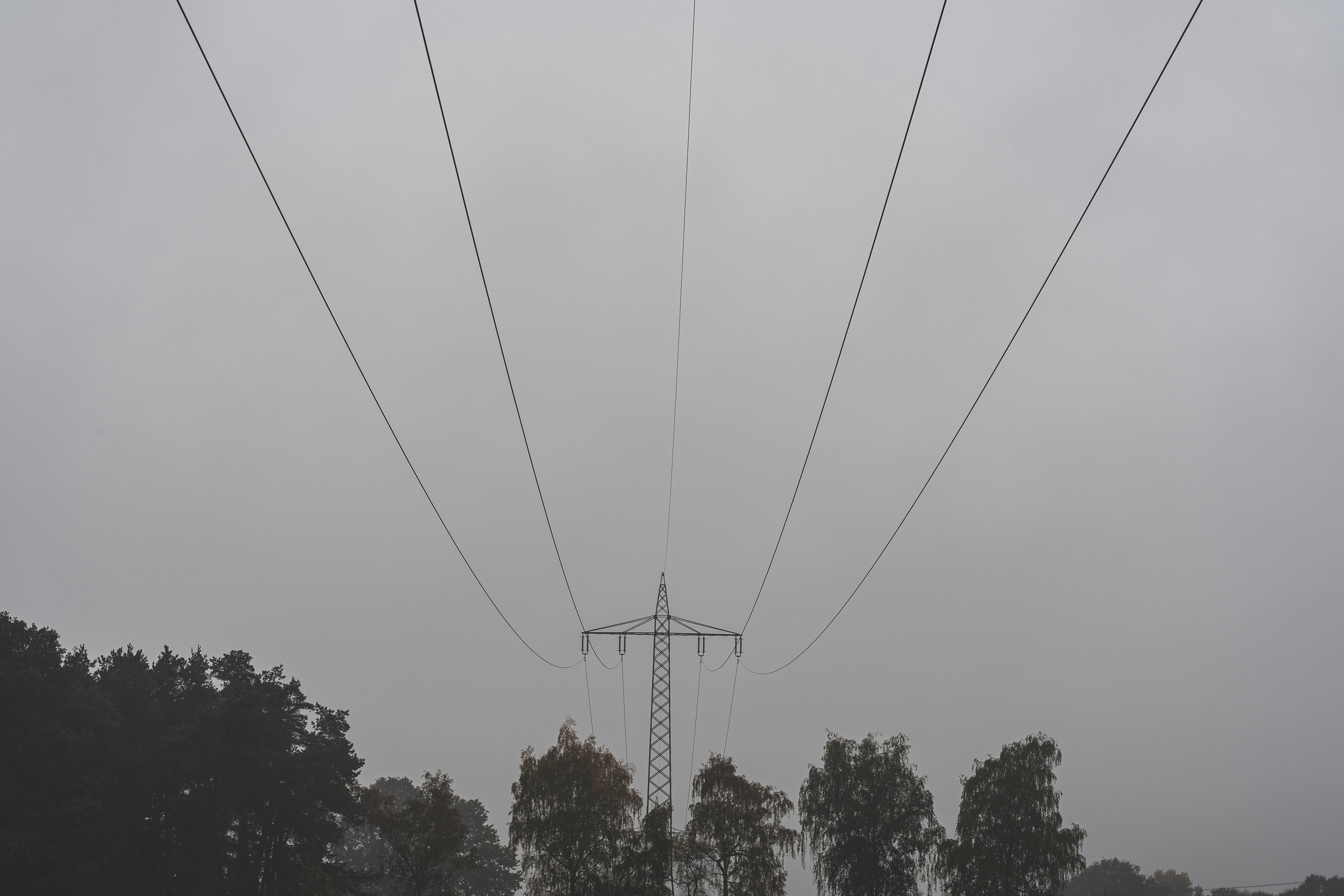 Photo by jakobustrop