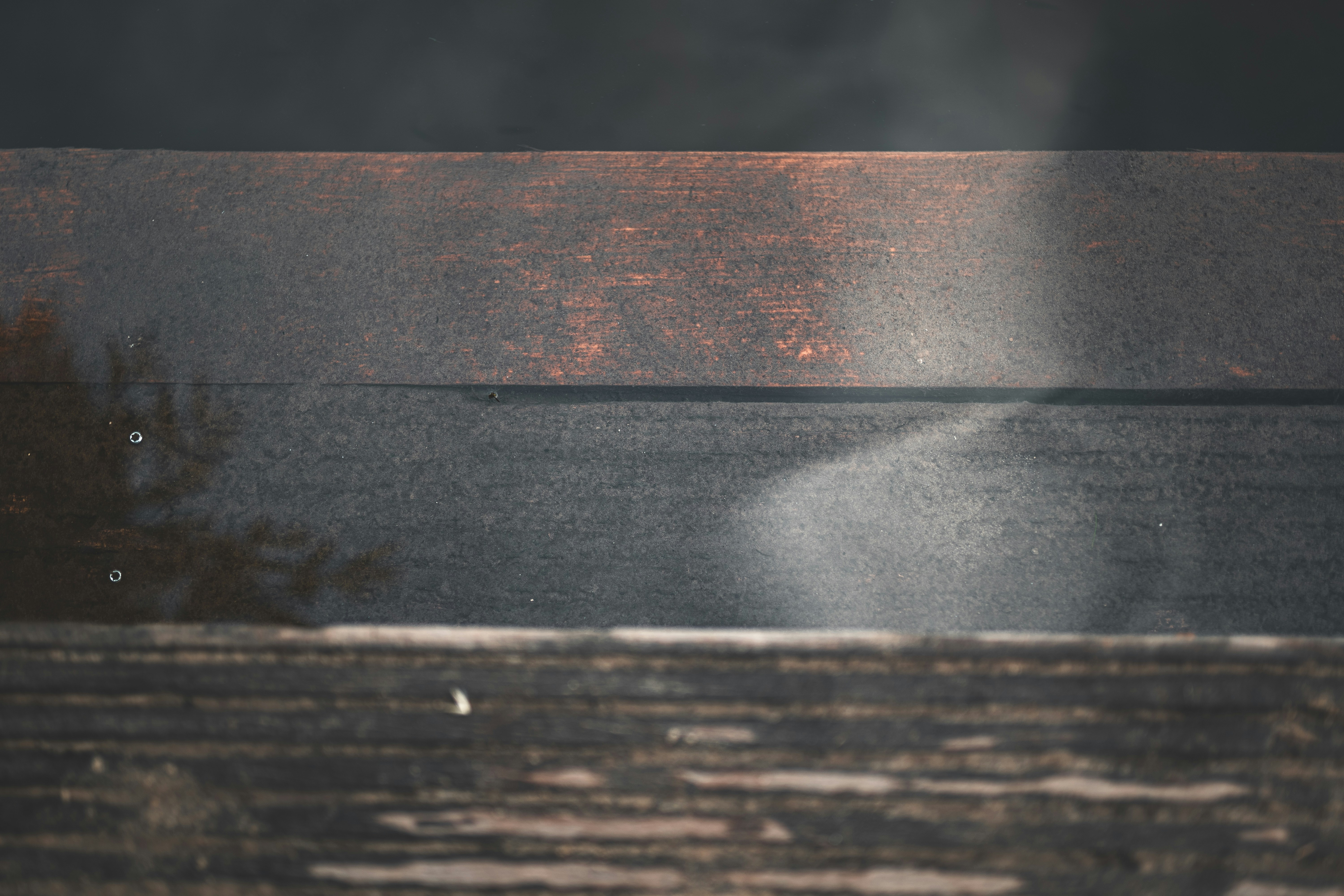 Photo by jakobustrop