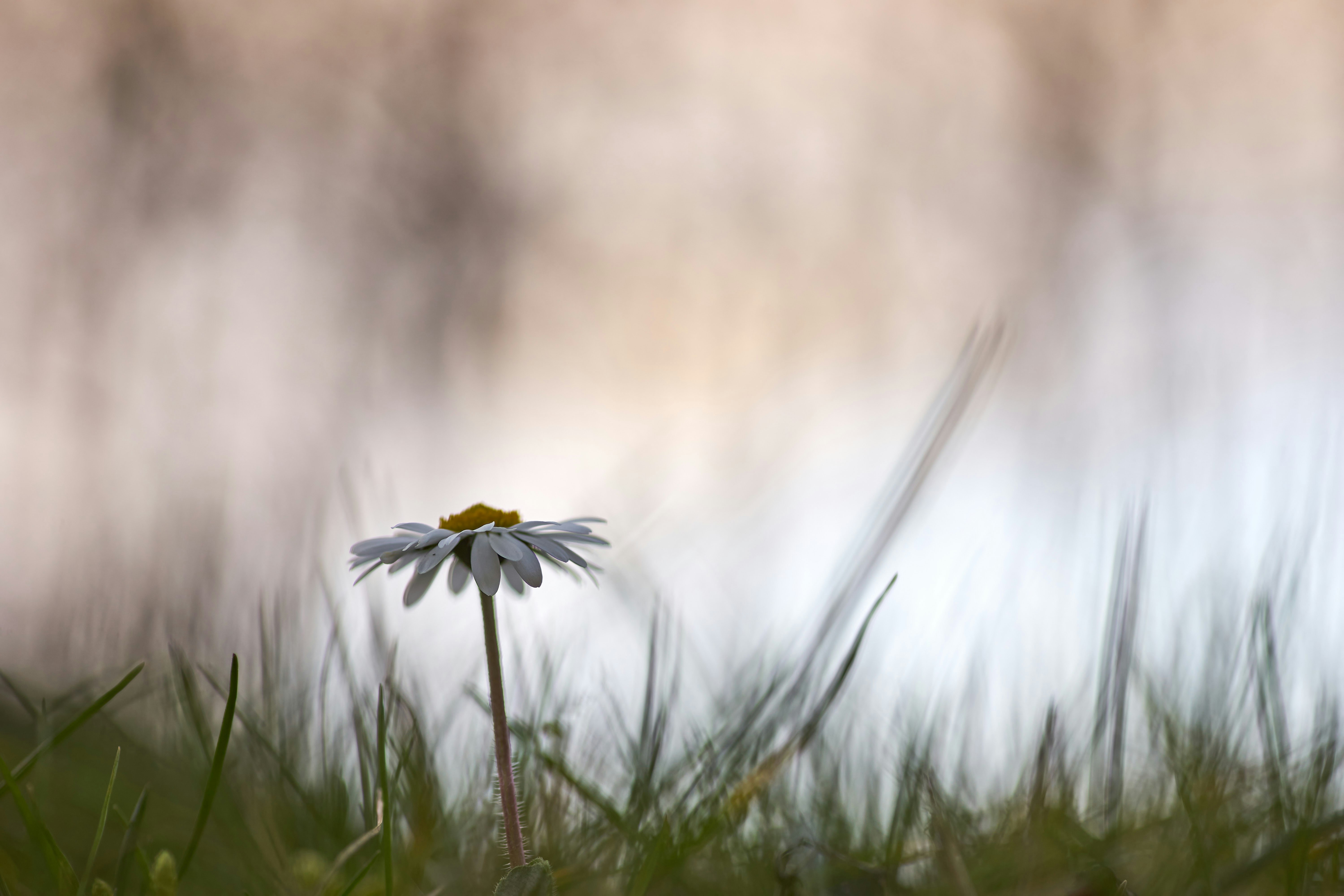 Photo by wolfgang_hasselmann