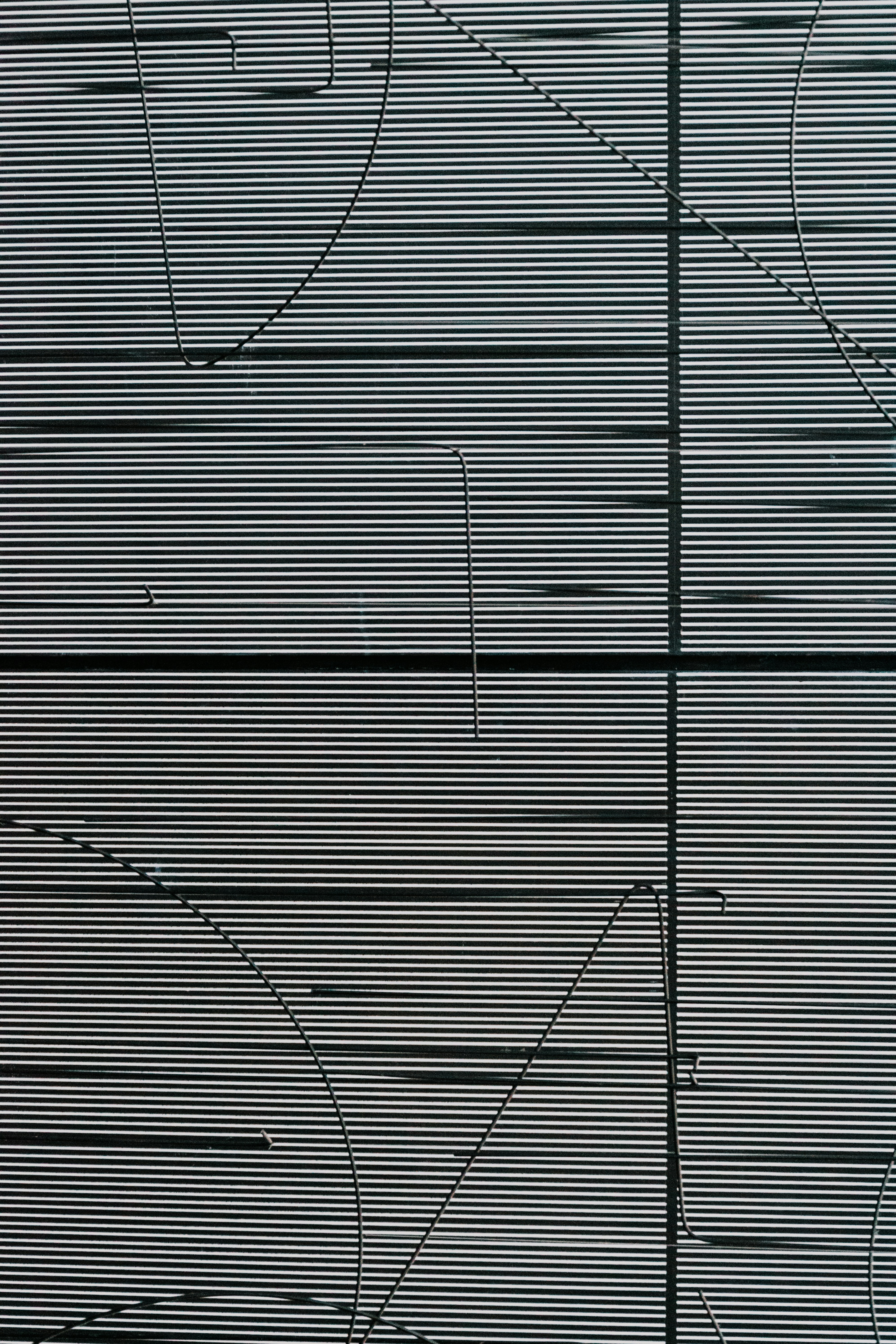 Photo by framesforyourheart