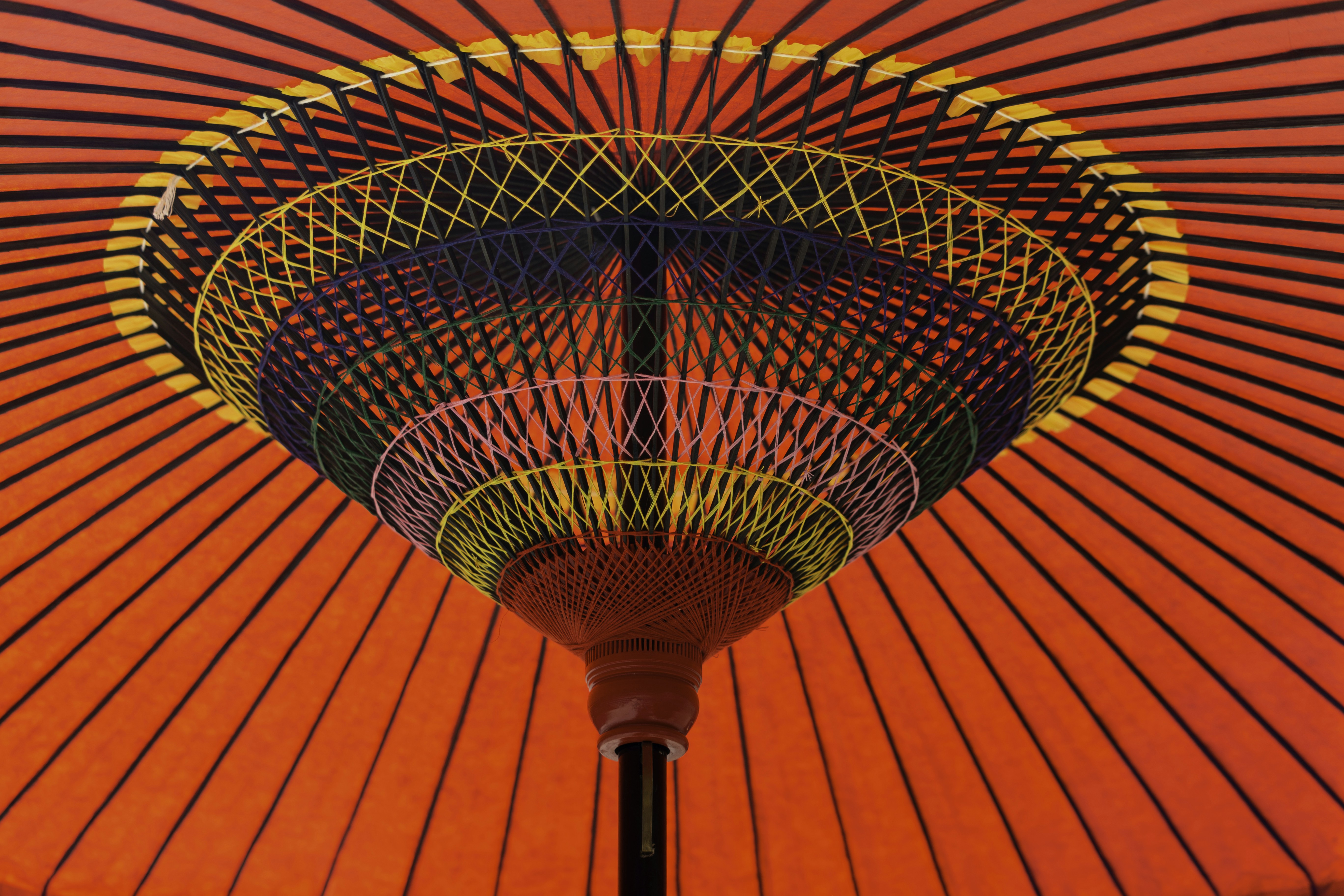 Photo by hectorfalcon