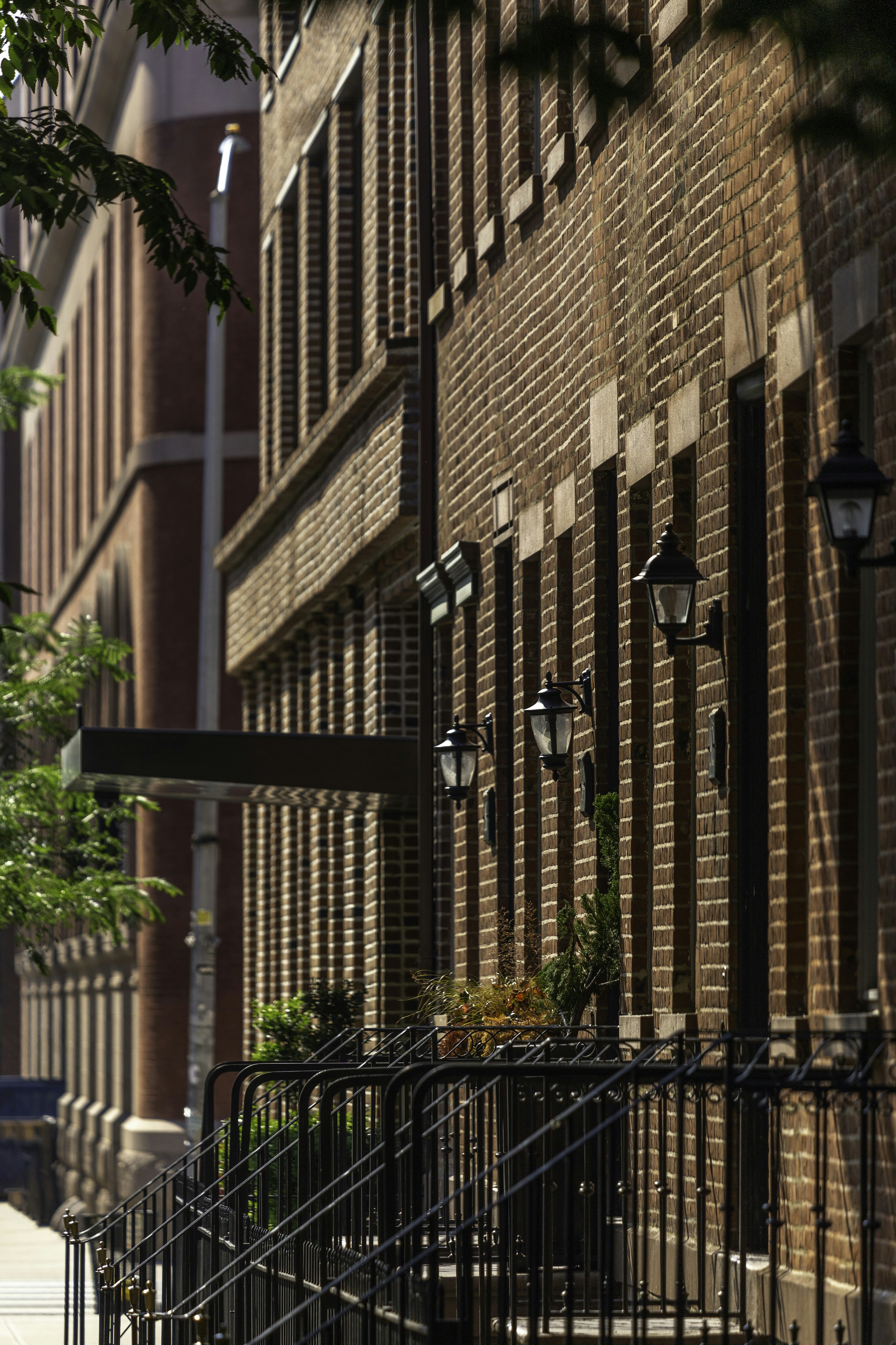 Photo by hectorfalcon