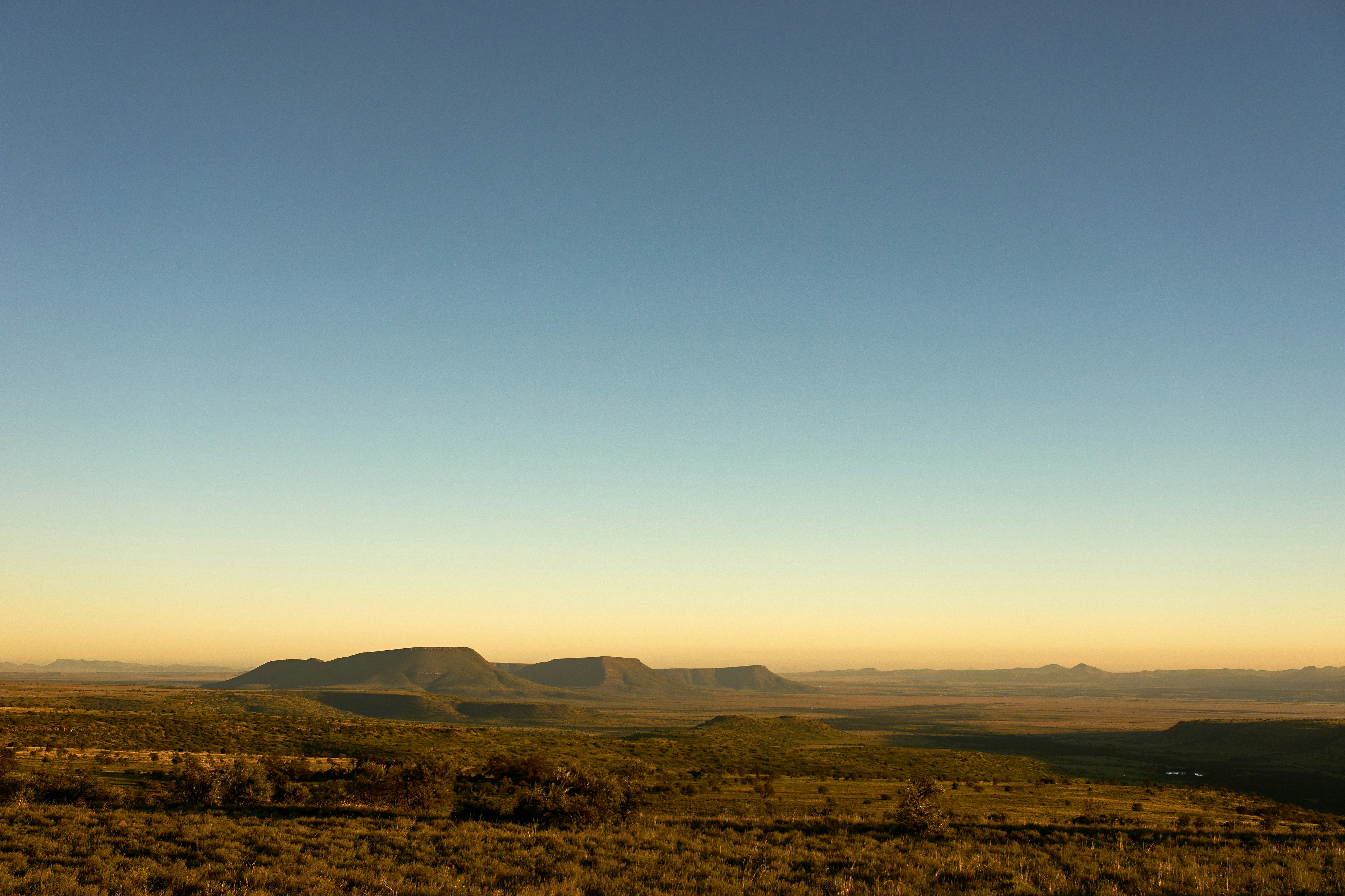 Photo by wolfgang_hasselmann