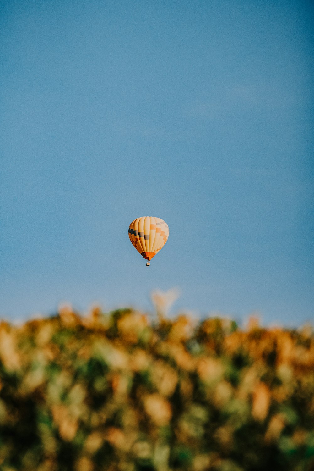 hot air balloon in mid air under blue sky during daytime