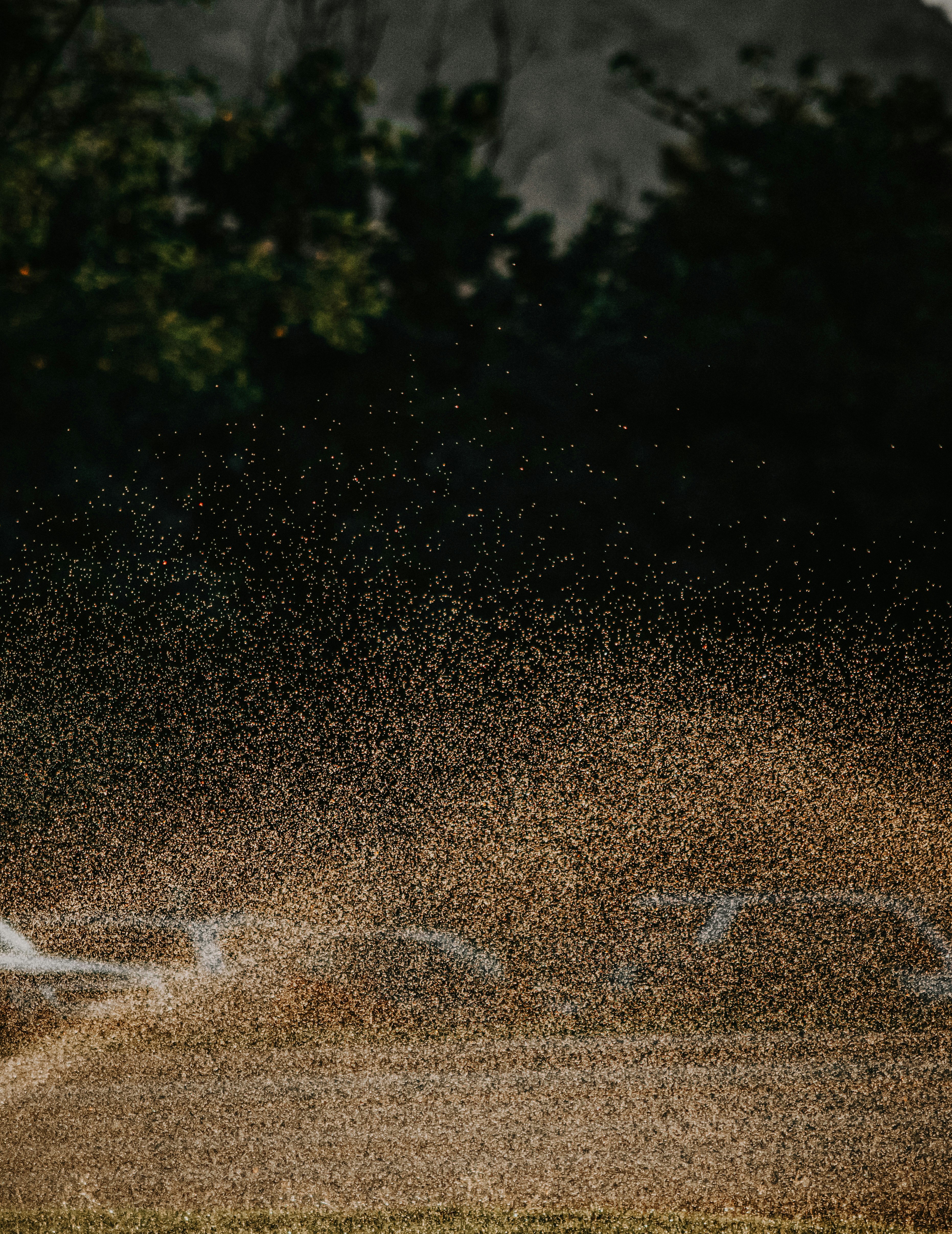 water droplets on brown sand