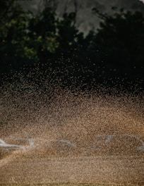 Изскачащ градински спринклер, който напоява тревна площ в Пловдив, България.