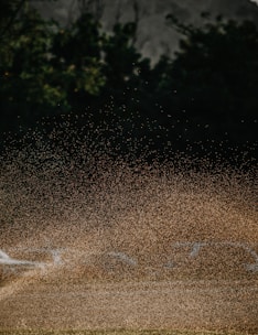 Изскачащ градински спринклер, който напоява тревна площ в Пловдив, България.