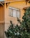 A house exterior with an elevated view of a window framed by clean architectural lines. The siding is a warm beige color, complementing the golden light of the setting or rising sun. A large evergreen tree partially obscures the view, with lush green needles adding texture and natural contrast.
