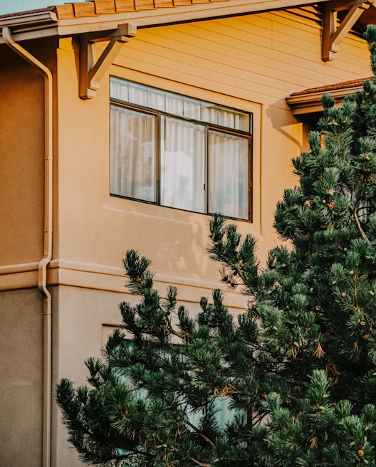 A house exterior with an elevated view of a window framed by clean architectural lines. The siding is a warm beige color, complementing the golden light of the setting or rising sun. A large evergreen tree partially obscures the view, with lush green needles adding texture and natural contrast.