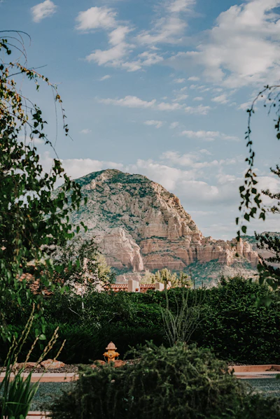 Green trees near a brown mountain