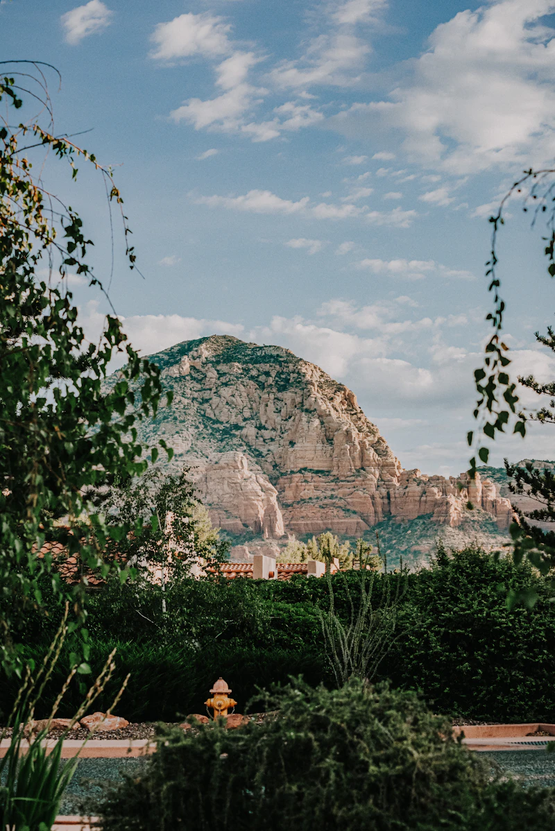 Green trees near a brown mountain