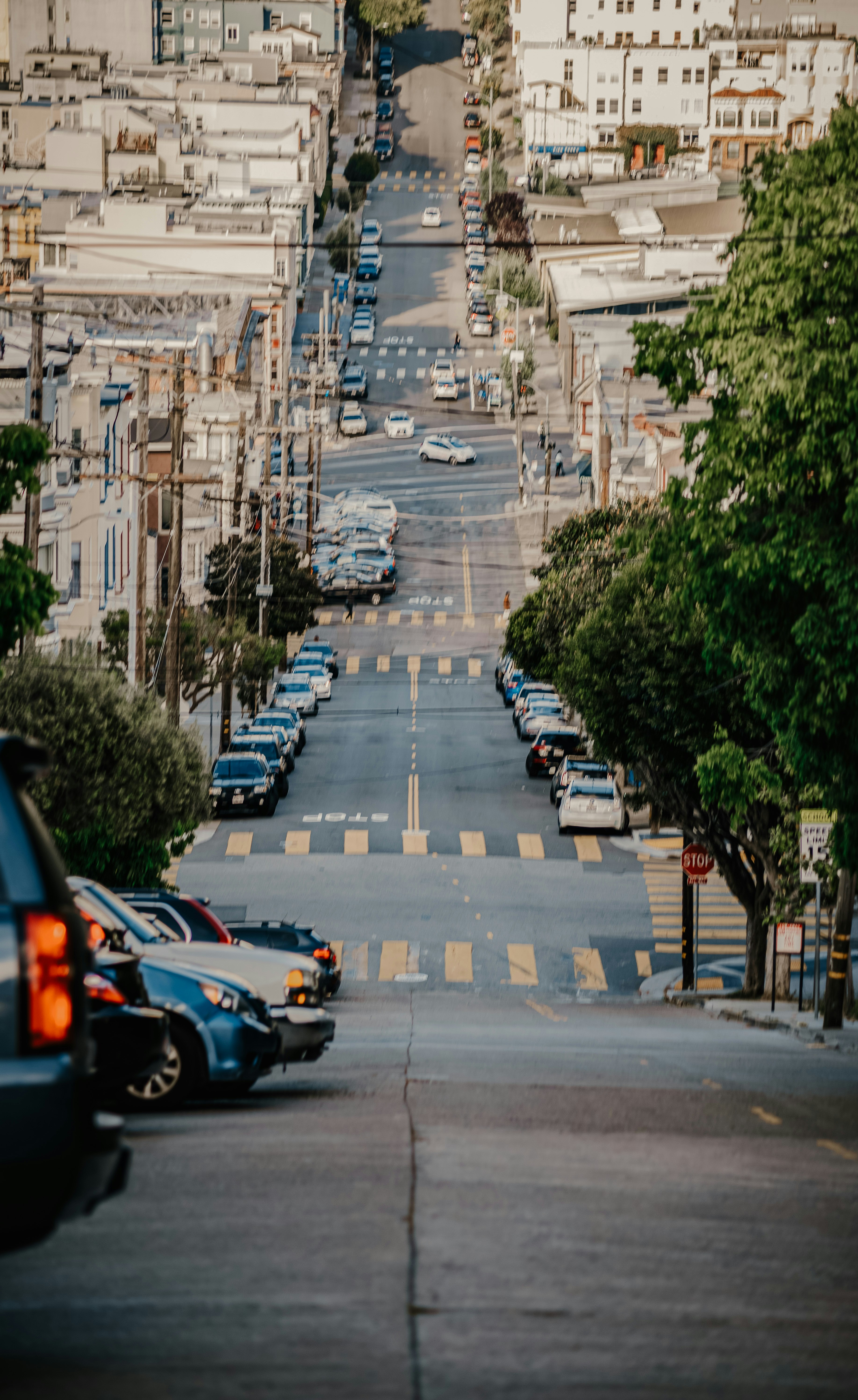 Photo by framesforyourheart