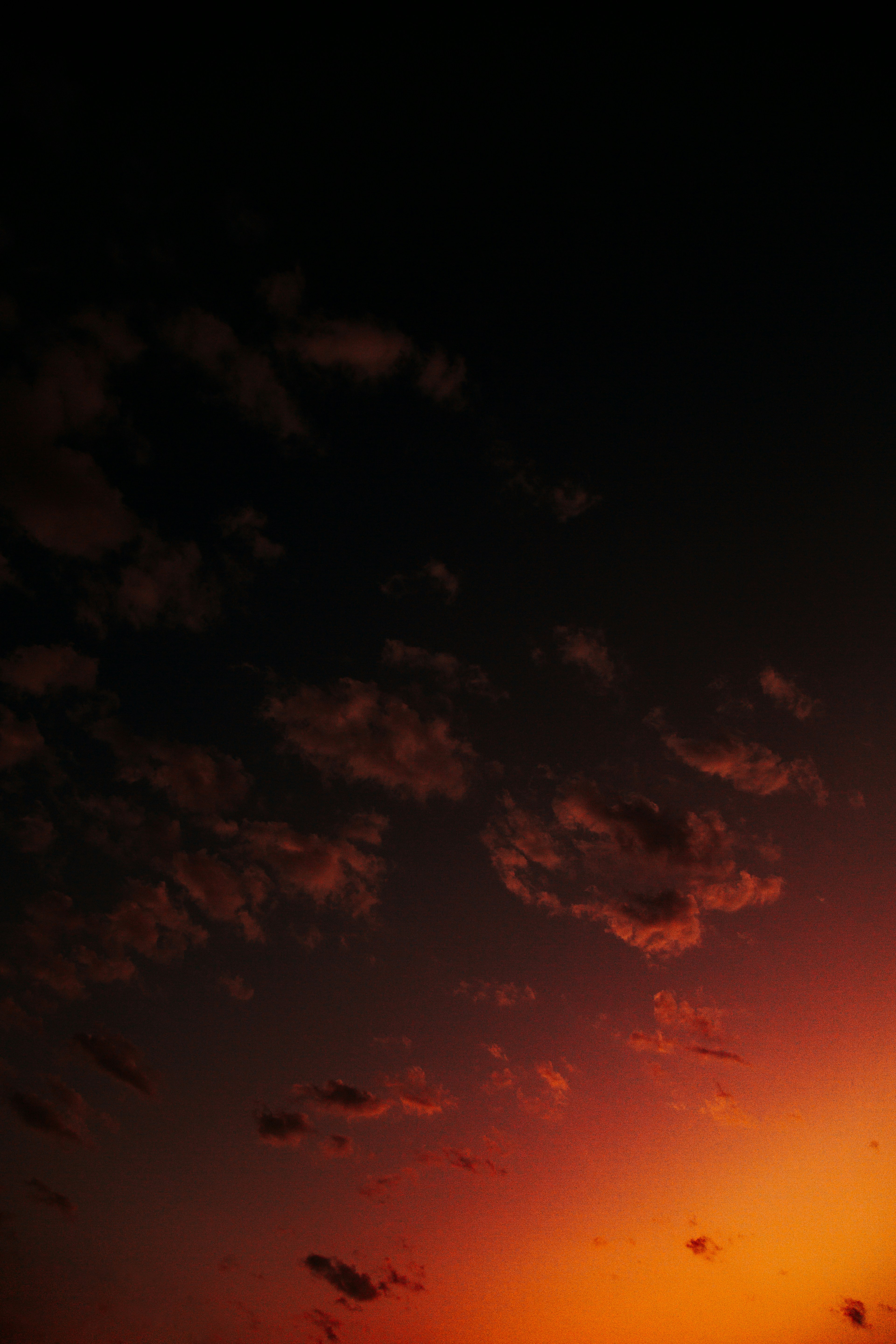 Photo by mohsenamerri