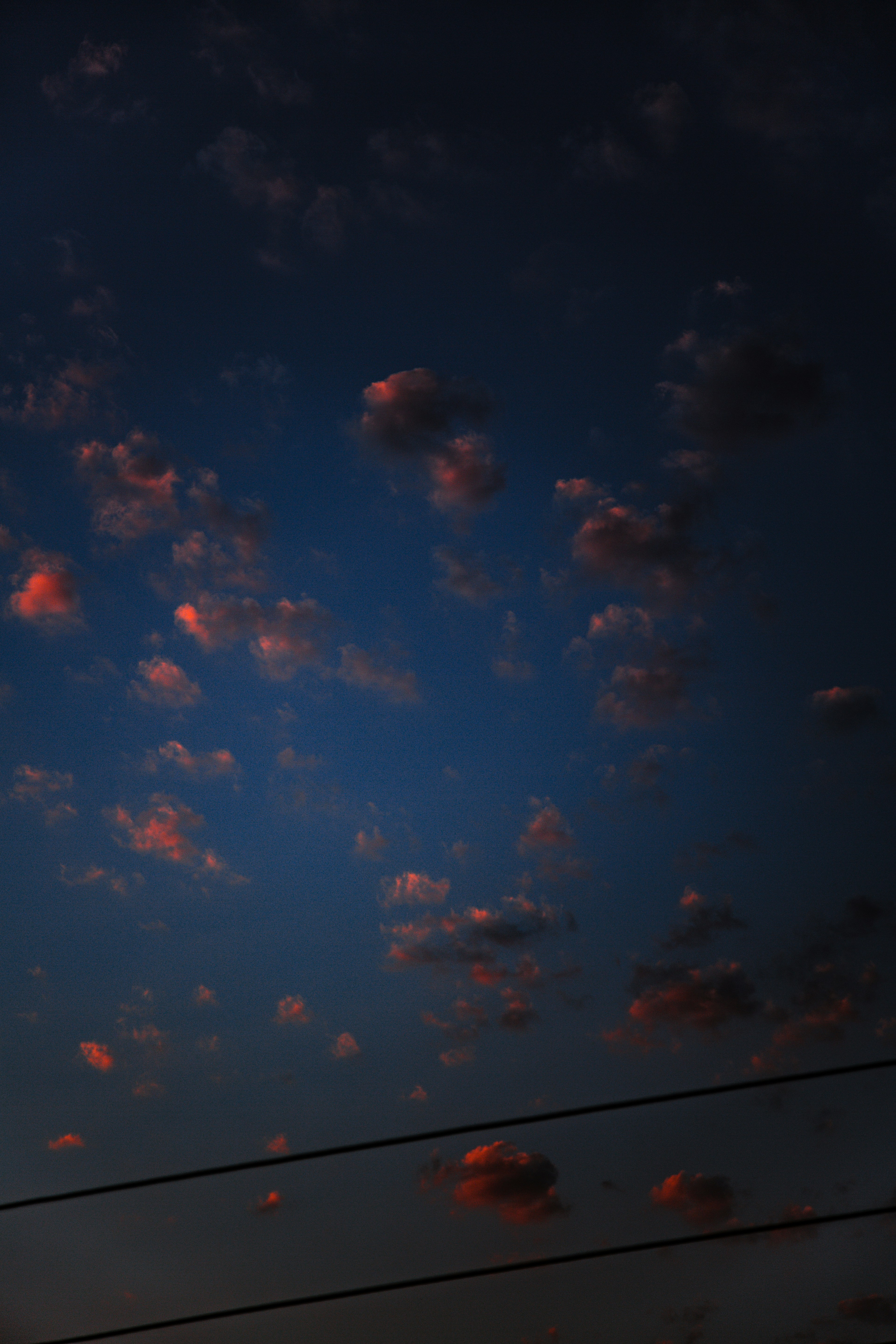 Photo by mohsenamerri