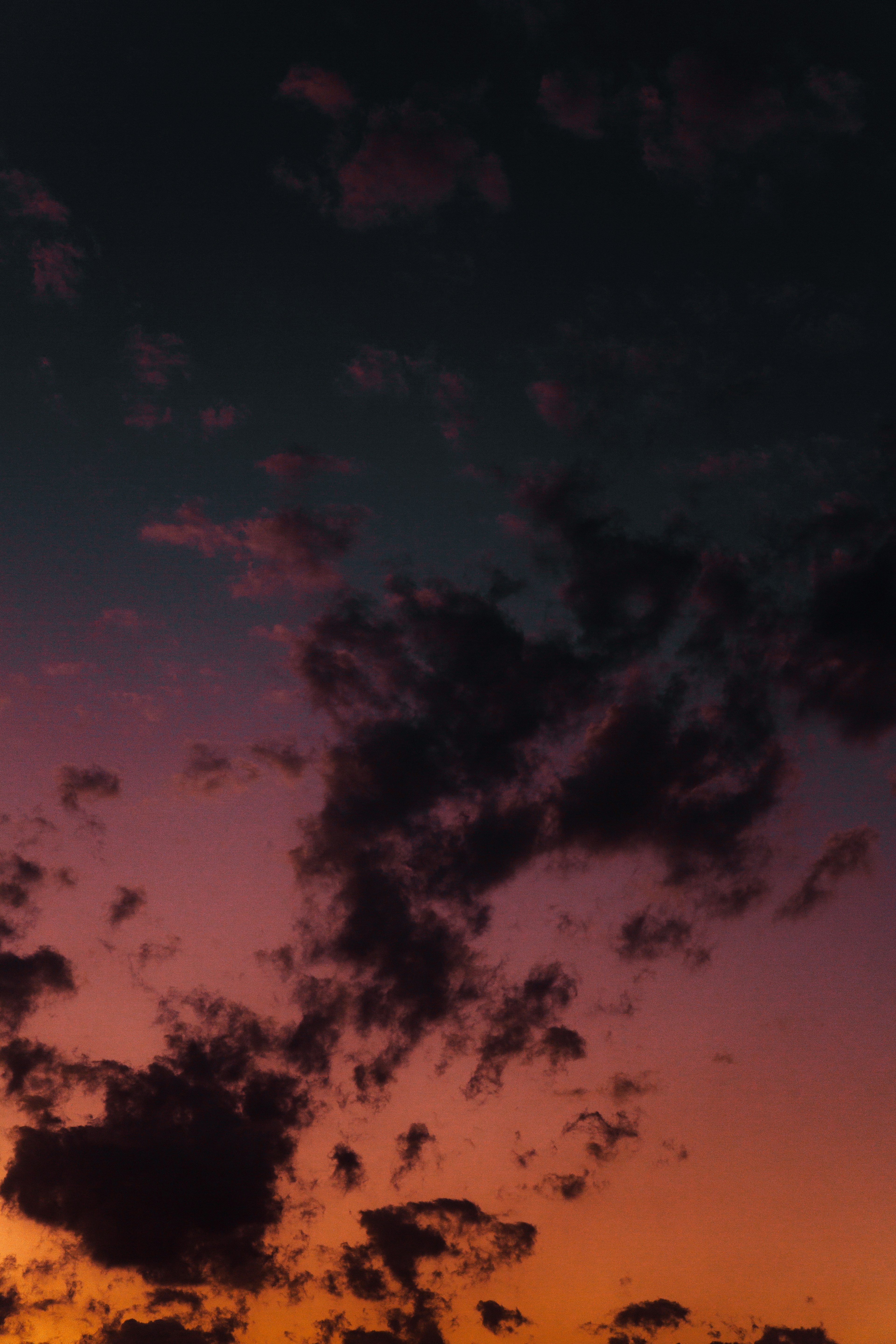 Photo by mohsenamerri