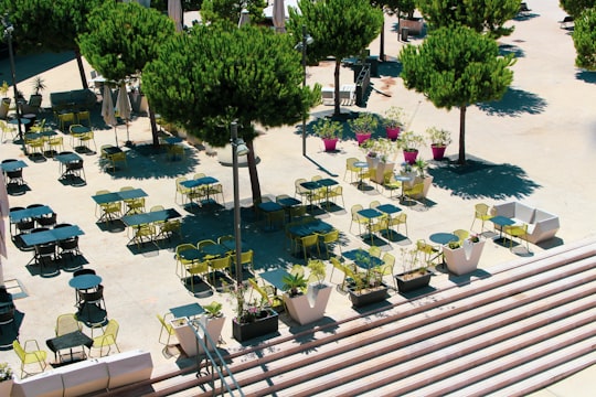 green trees near body of water during daytime in Marseille France