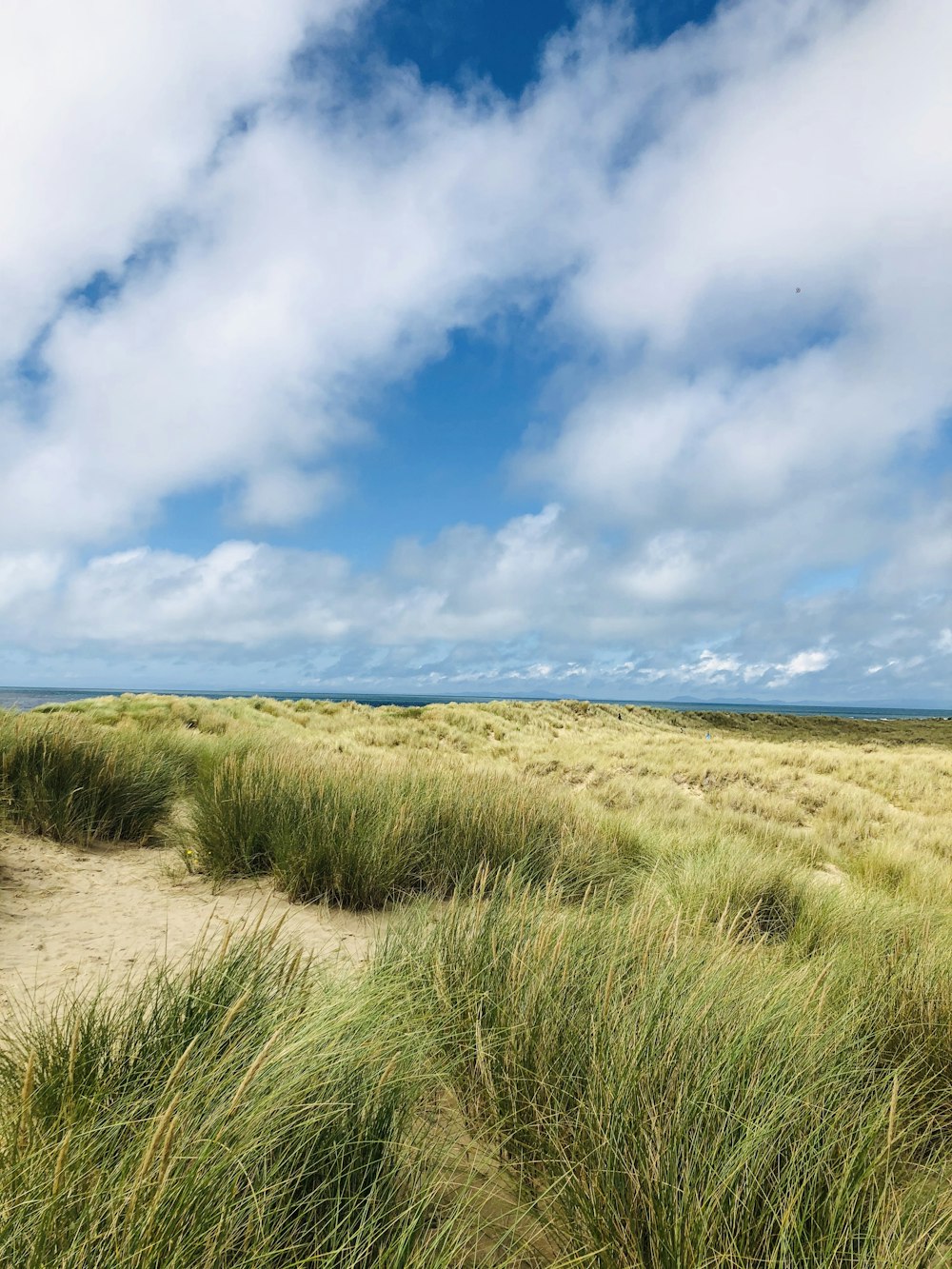 green grass field under blue sky and white clouds during daytime