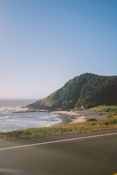 A coastal landscape features a serene view of the ocean meeting a rocky shoreline. The foreground shows a paved road with lush green grass along the edges, while a dense forested hillside rises up in the background under a clear blue sky.