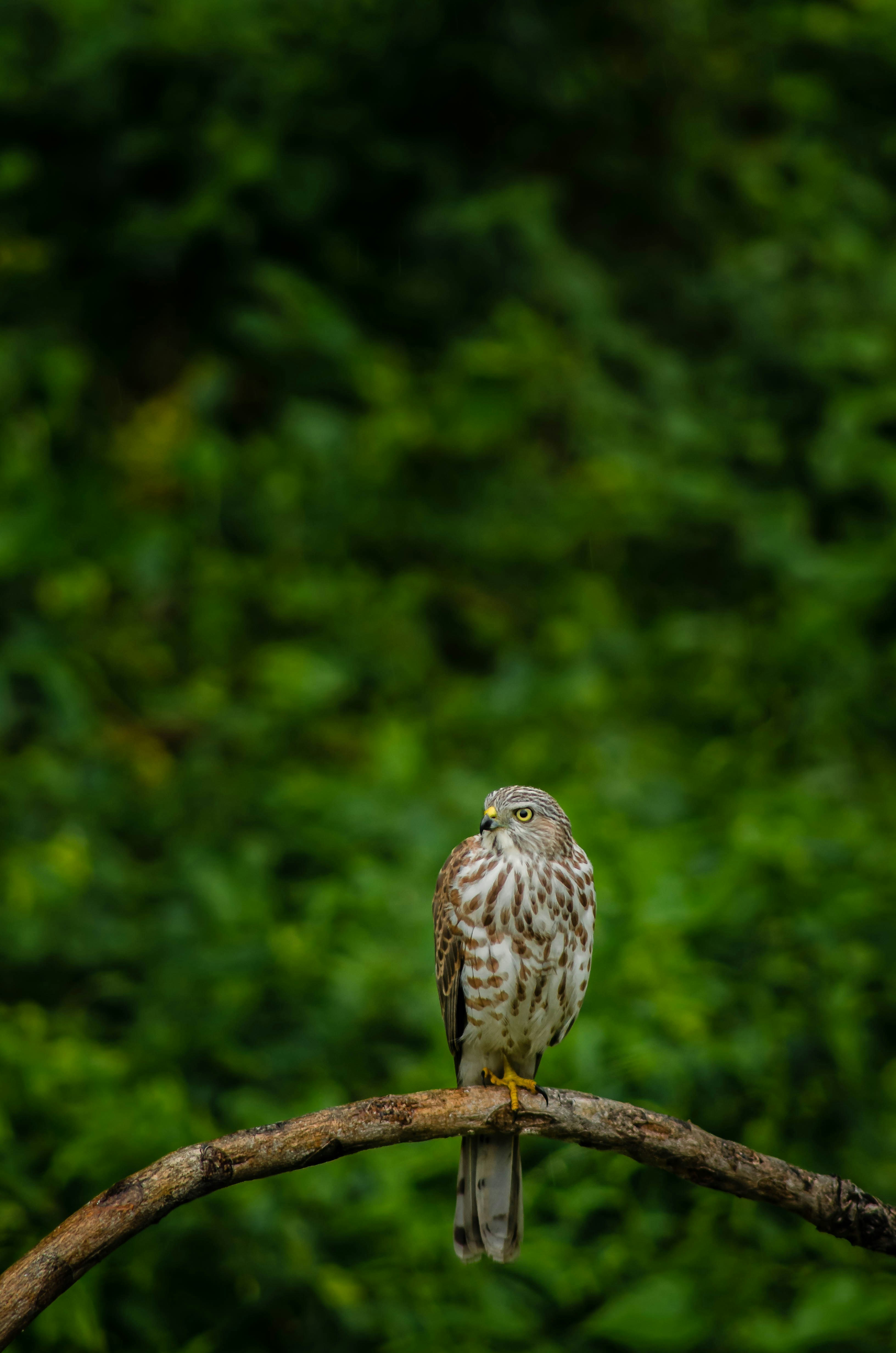 Photo by sh1