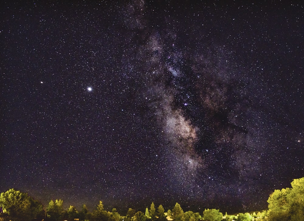 green trees under starry night