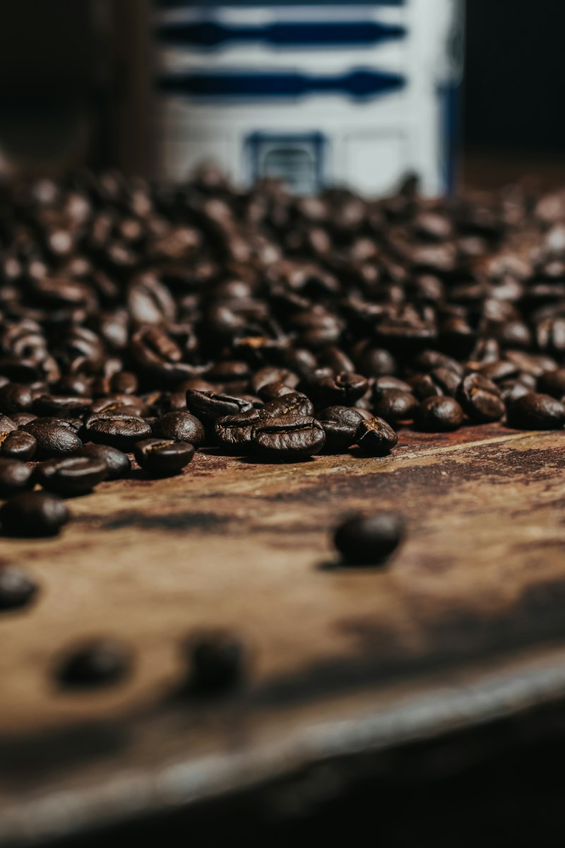 Grãos de café torrado; fotografia ilustrativa.