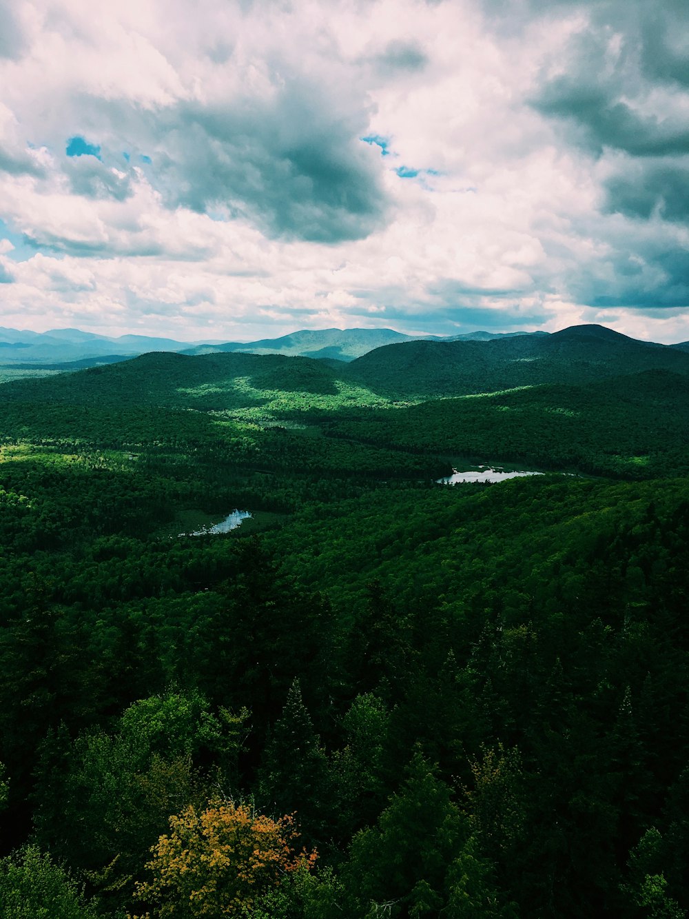 arbres verts sur la montagne sous ciel nuageux pendant la journée